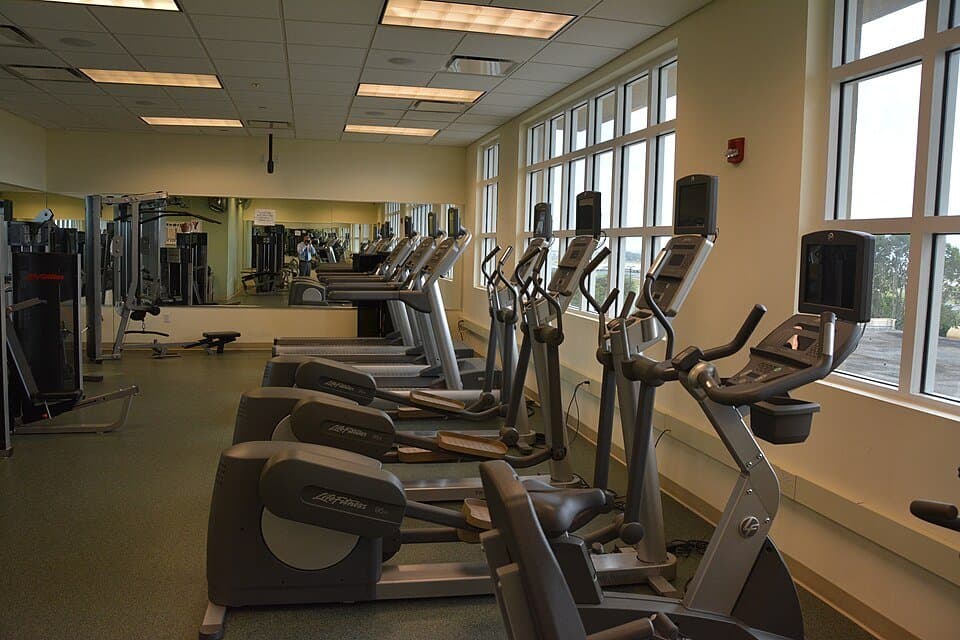 Дельфин Чиланзар, 2